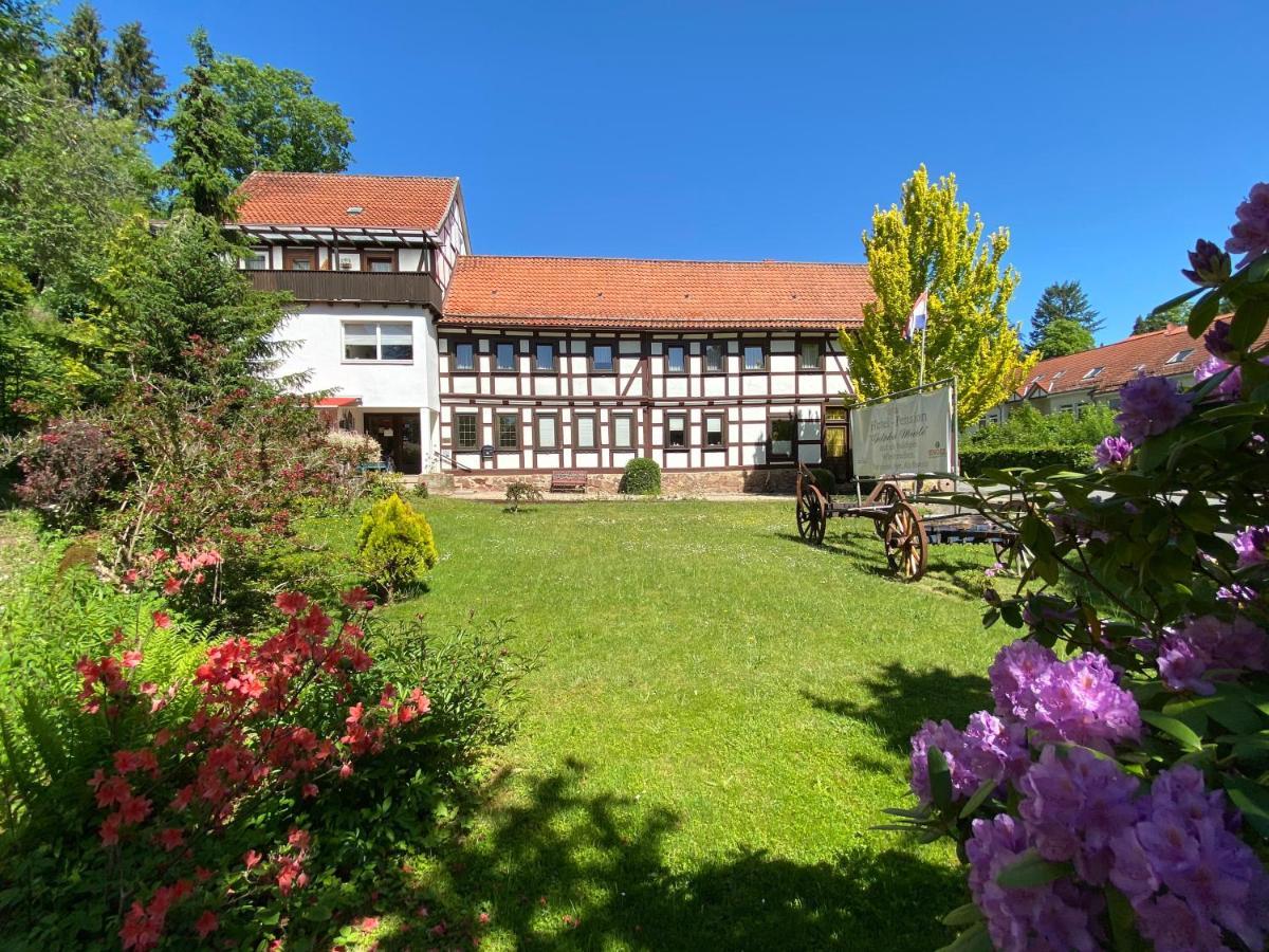 Hotel Pension Gelpkes Muehle Bad Sachsa Dış mekan fotoğraf
